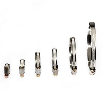 Germany Type 9mm Bandwidth Hose Clamp 8-12mm 60-80mm W1 Silver