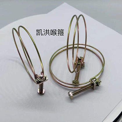 Double Wire Hose Clamp 304 Stainless Steel Pipe Clamps Adjustable 10-45mm