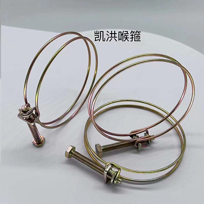 Double Wire Hose Clamp 304 Stainless Steel Pipe Clamps Adjustable 10-45mm